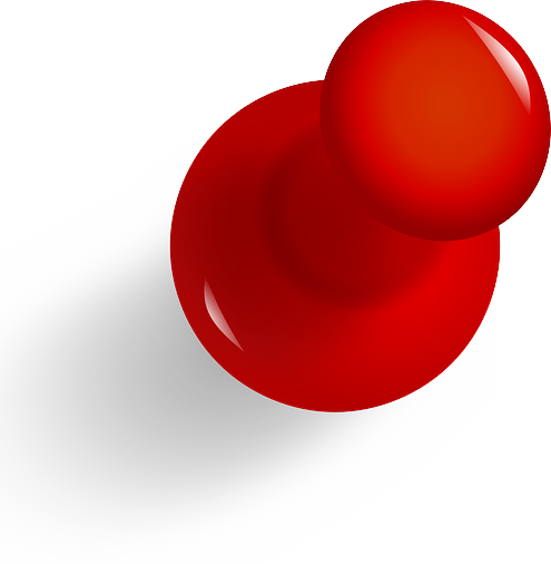 Pin